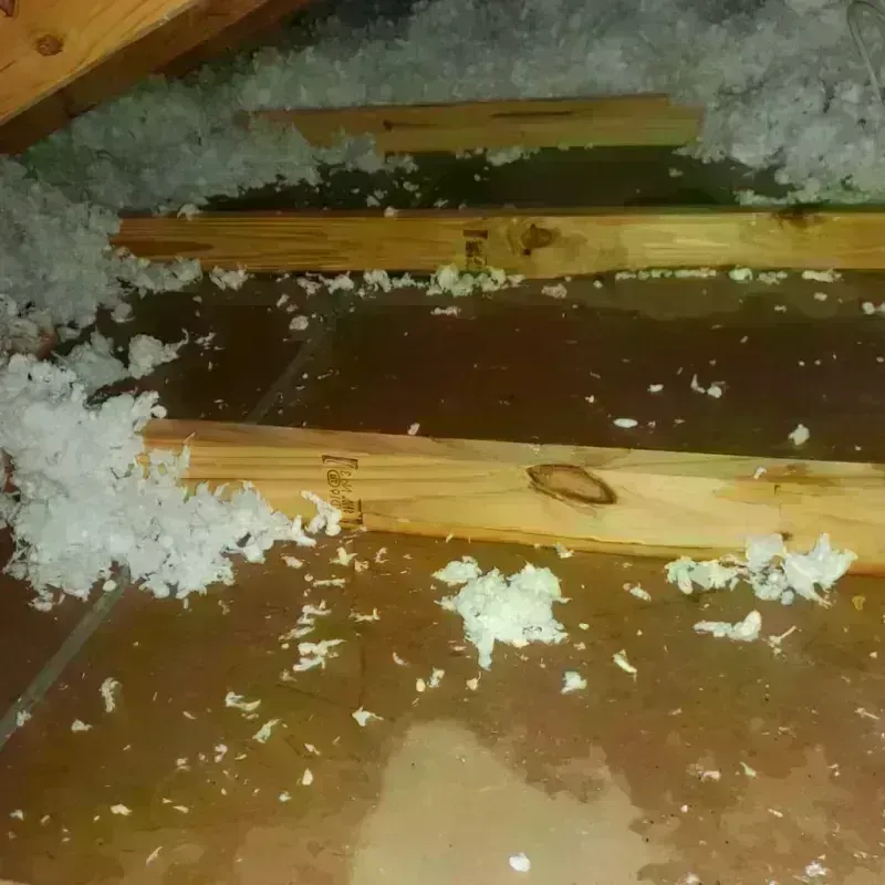 Attic Water Damage in Herricks, NY